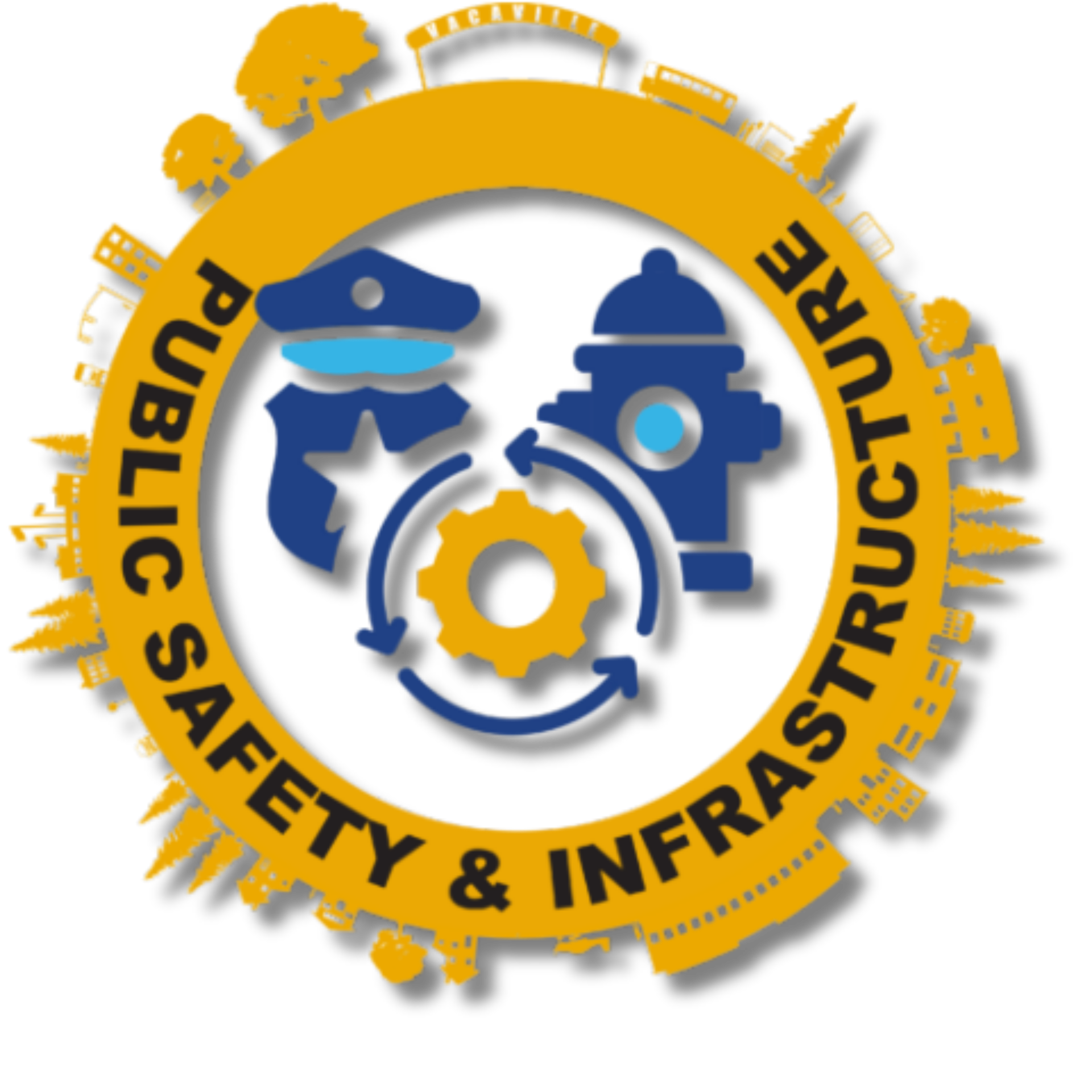 Public Safety